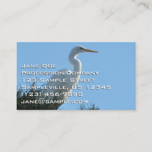 Underbar Egret i Sunny Florida Visitkort
