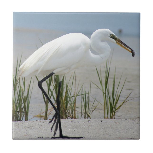 Underbar Egret Kakelplatta (Framsidan)