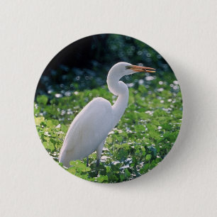 Underbar Egret Knapp