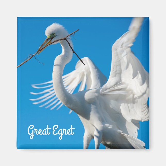 Underbar Egret Magnet (Framsidan)