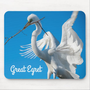 Underbar Egret Musmatta