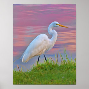 Underbar Egret Strullande vid Sunrise Poster