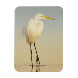 Underbar Egret Walking Magnet