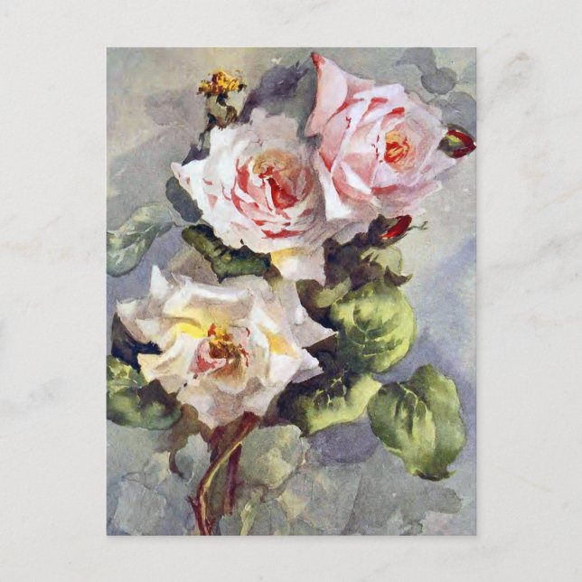 Underbar elegant rosa rosor akvarellmålning vykort (Framsida)