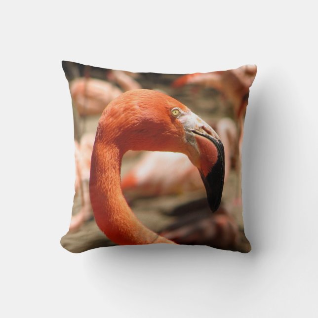 Underbar Flamingo Kudd! Kudde (Framsida)