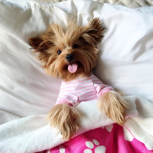 Underbar för rosa Paw Skriv ut blanksteg för Hunda Fleecefilt (Pink personalized dog blanket for puppy dog lovers)