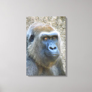 Underbar Gorilla Wrapped Canvas! Canvastryck
