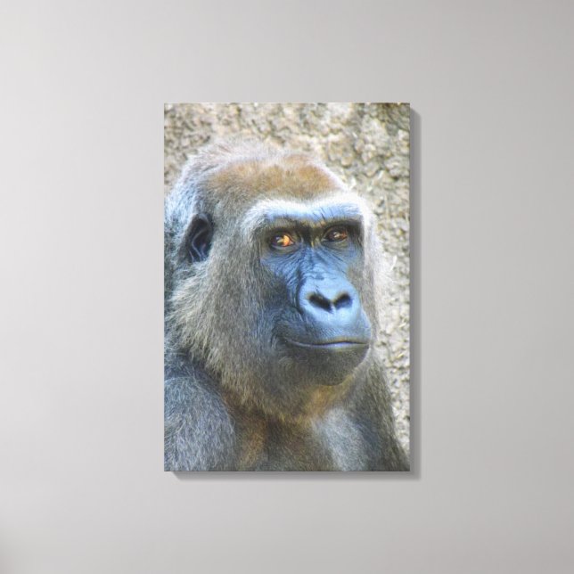 Underbar Gorilla Wrapped Canvas! Canvastryck (Framsida)