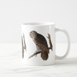 Underbar grå uggla kaffemugg