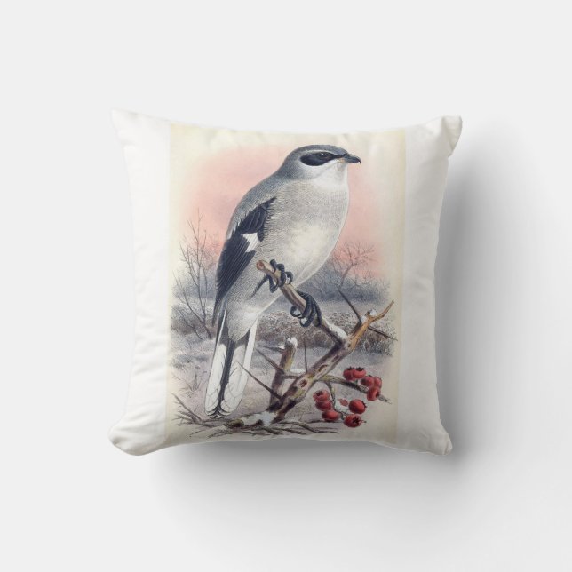 Underbar grått shrike Bird Pillow Kudde (Framsida)