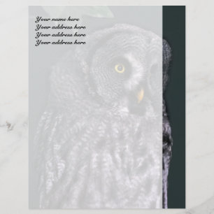 Underbar Grått Uggla Letterhead-mall Brevhuvud