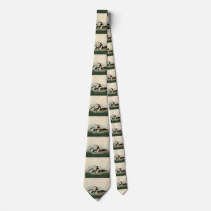 Underbar greb - Audubon's Birds of America Slips