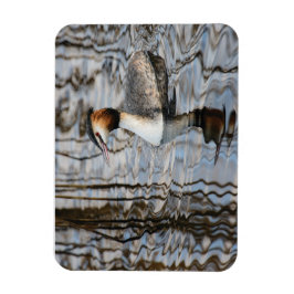 Underbar grebe magnet