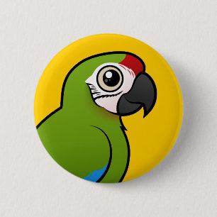 Underbar grön Macaw Knapp