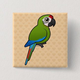 Underbar grön Macaw Knapp