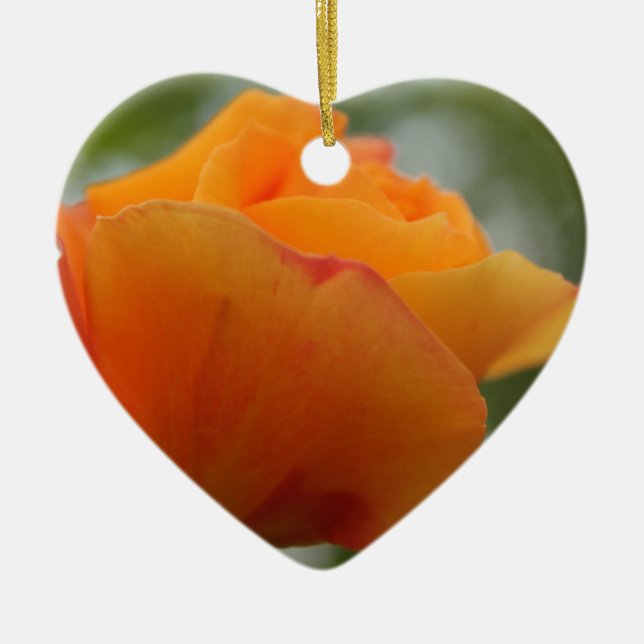 underbar gul ros blomsterfotografi. julgransprydnad keramik (Framsidan)