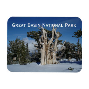 Underbar handfatnationalparkmagnet magnet