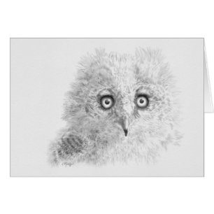 Underbar Horned Owlet Teckning Hälsningskort
