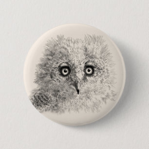 Underbar Horned Owlet Teckning Knapp