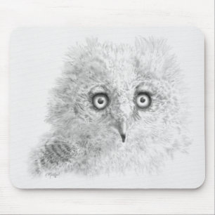 Underbar Horned Owlet Teckning Musmatta