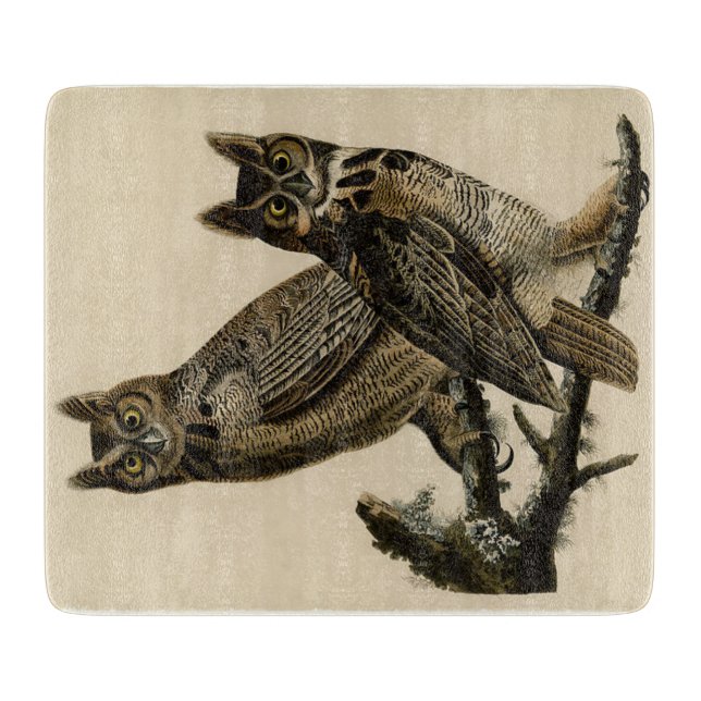 Underbar Horned Uggla (av John James Audubon) (Framsidan)