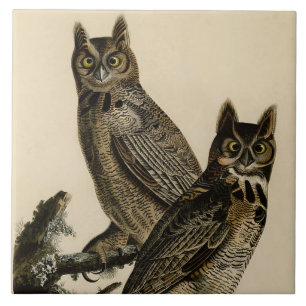 Underbar Horned Uggla (av John James Audubon) Kakelplatta