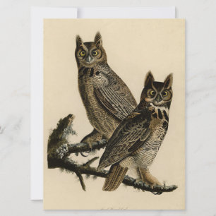 Underbar Horned Uggla (av John James Audubon) Kort
