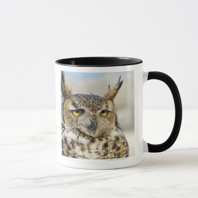 Underbar Horned uggla (Bubovirginianusen) Mugg (Höger)