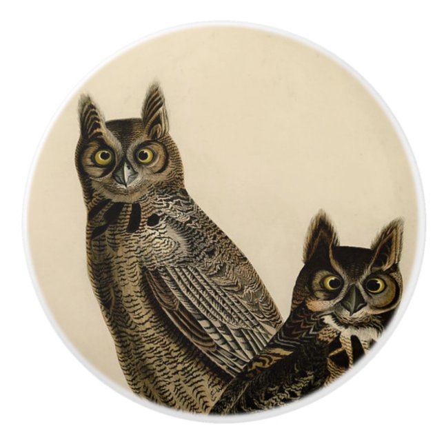 Underbar Horned Uggla (J.J. Audubon) Knopp (Framsidan)