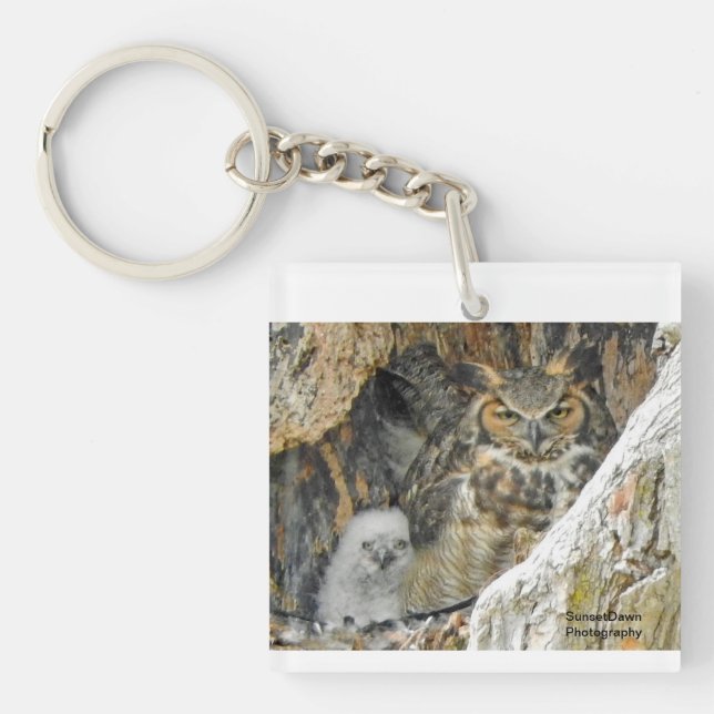 Underbar-Horned Uggla med Owlet (Framsidan)