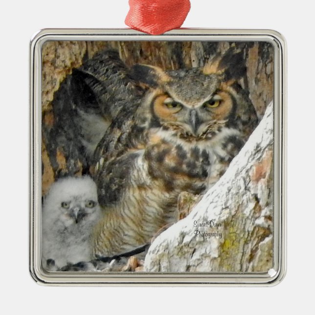 Underbar Horned Uggla med Owlet Julgransprydnad Metall (Framsidan)