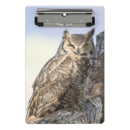 Underbar Horned uggla - som tittar dig mini-