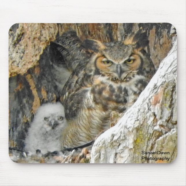 Underbar hornsklubb Uggla med Owlet Musmatta (Framsidan)