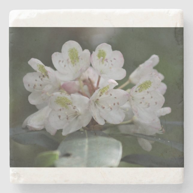 Underbar Laurel Stenunderlägg (Framsidan)