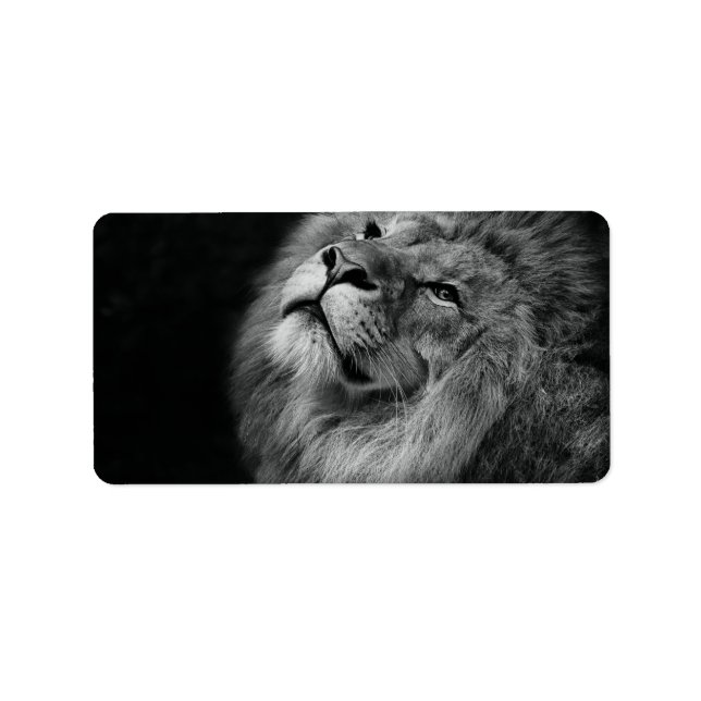 Underbar Lejon Adressetikett (Framsidan)