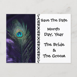 Underbar lila påfågel Save the Date vykort