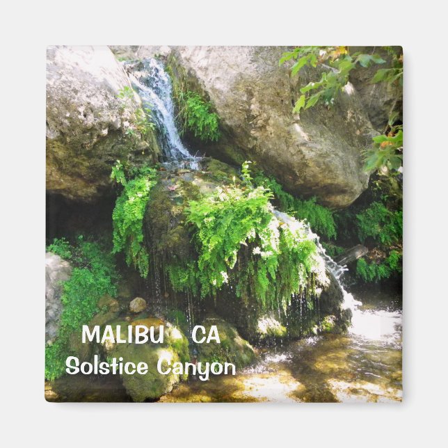 Underbar Malibu Magnet! Magnet (Framsidan)