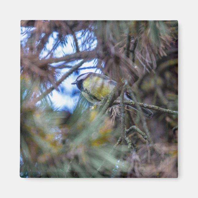 Underbar måltid (Parus major) Magnet (Framsidan)