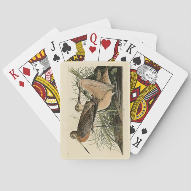 Underbar Marved Godwit - Audubon's Birds of Americ Casinokort (Baksidan)