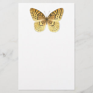 Underbar mellanliggande Fritillary Butterfly Stati Brevpapper