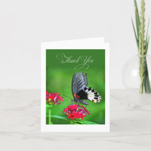 Underbar Mormon Butterfly i blommigten Tack Kort