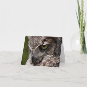 Underbar notecard för Horned uggla Kort