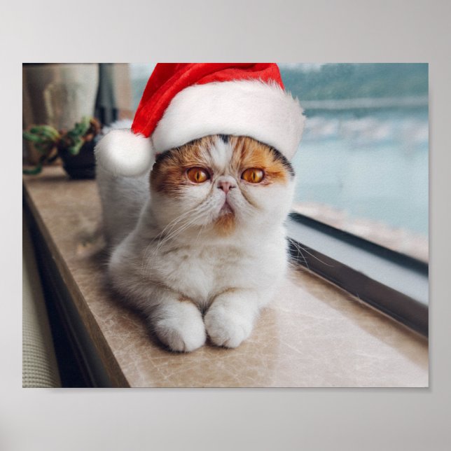 Underbar persisk katt med Jultomten hat Poster (Framsidan)