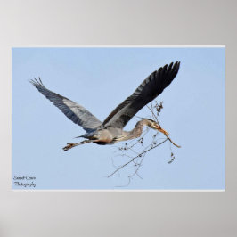Underbar Poster av blå Heron