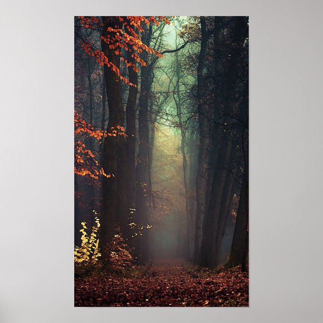 Underbar Poster av naturen (Framsidan)