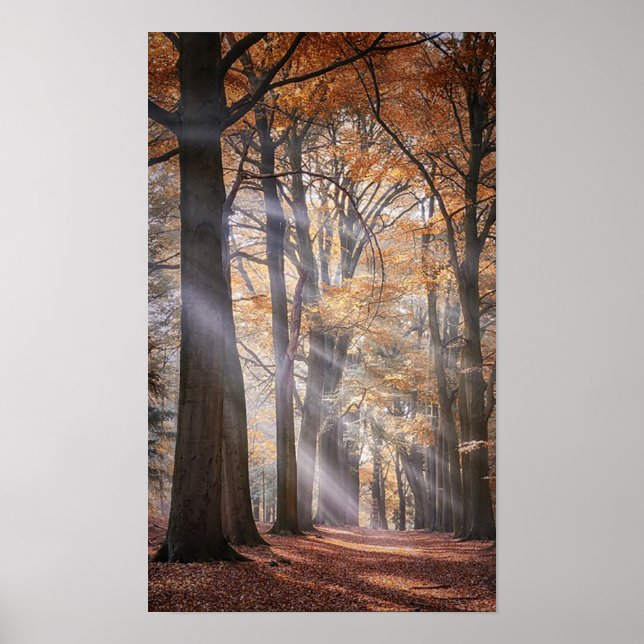 Underbar Poster av naturen (Framsidan)