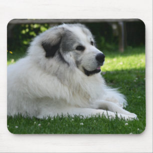 Underbar Pyrenees Mousepad Musmatta