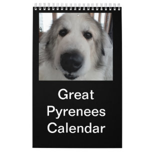 Underbar Pyrenékalender Kalender
