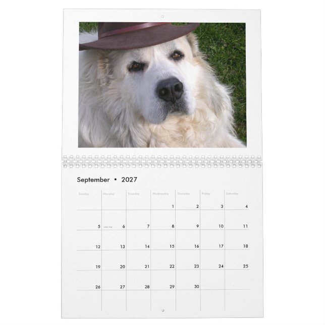 Underbar Pyrenékalender Kalender (Sep 2027)
