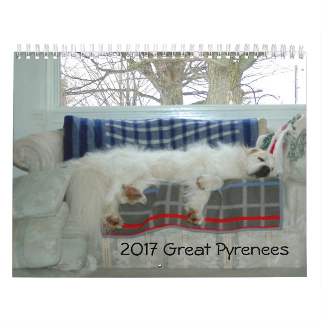 Underbar Pyrenékalender Kalender (Omslag)